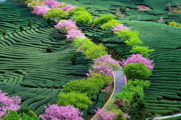 七月去瑞典旅游需要帶什么東西