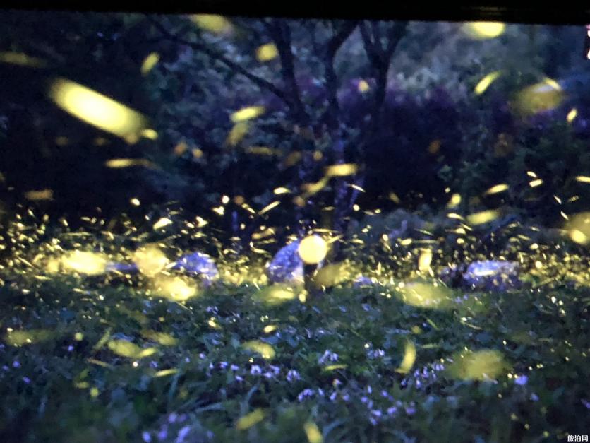 茂名哪里買(mǎi)衣服_茂名哪里買(mǎi)衣服_茂名買(mǎi)衣服的好地方
