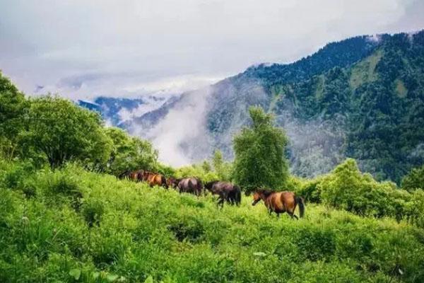 揭陽市旅游局赴潮州市旅游局學(xué)習(xí)交流潮 揭秘兩地發(fā)展文化