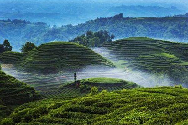 清明游咸陽必備物品？你帶了什么？