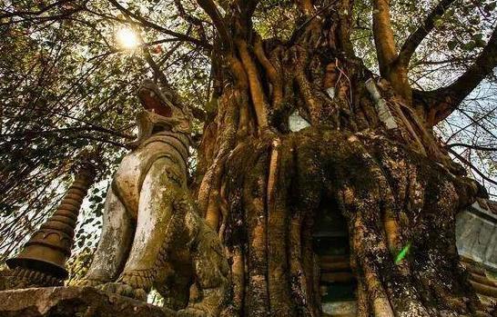 土耳其旅游多少錢(qián)? 土耳其旅游報(bào)價(jià)