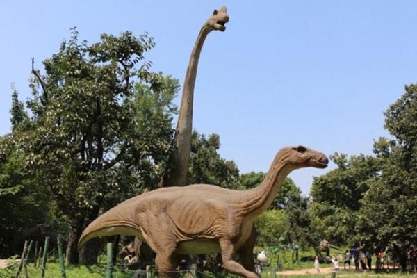 東莞恒達(dá)雅苑附近的景點(diǎn)和有趣的地方