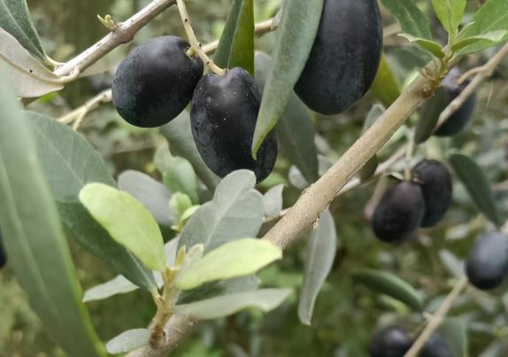 隴南至泰國(guó)旅游指南_行程表_景點(diǎn)推薦