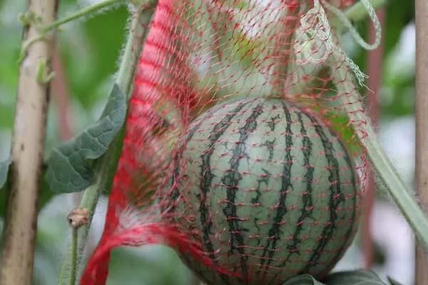 元旦到晉城天氣_元旦到晉城穿什么_元旦到晉城美食推薦