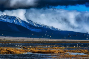 春節(jié)去敦煌旅游必備物品？你帶了什么？