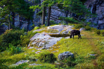 國(guó)慶山西哪里好玩？11號(hào)游客多嗎？