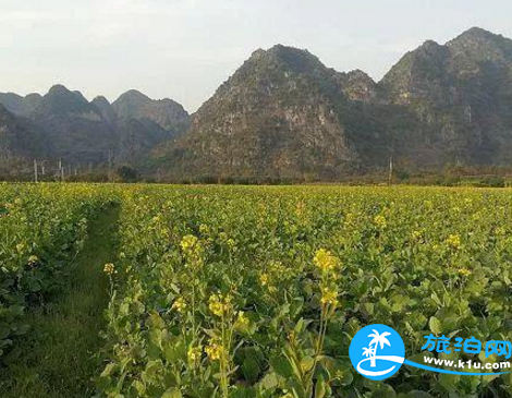 夏天離開青島去西溪濕地西區(qū)要多少錢？貴嗎？