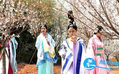 11月和12月青島到松花江的航班多嗎？怎么玩？