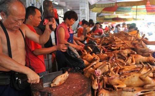 興安盟至札幌旅游_興安盟至札幌旅游價格_興安盟至札幌旅游交通信息