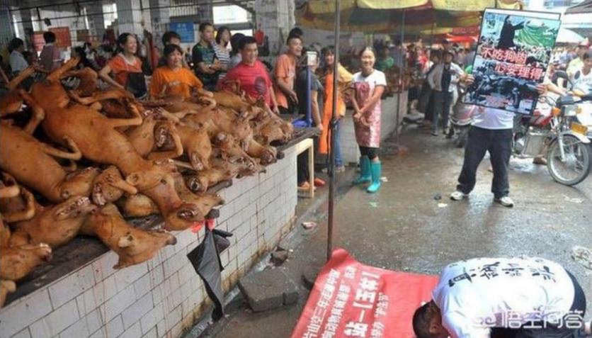 興安盟至萬象旅游_興安盟至萬象旅游價格_興安盟至萬象旅游航班信息