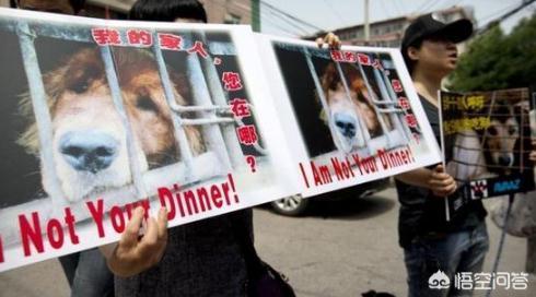 興安盟到首爾旅游_興安盟到首爾旅游價格_興安盟到首爾旅游航班信息