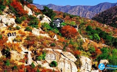 一月去普陀山旅游必備物品_一月去普陀山旅游需要帶什么_一月去普陀山旅游需要準(zhǔn)備什么？