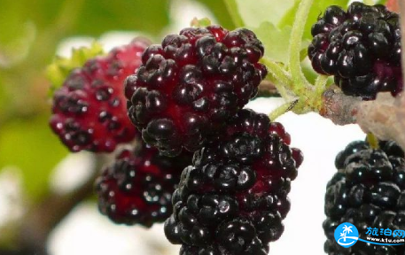 11月舟山有哪些旅游景點(diǎn)_ 11月去舟山旅游怎么樣_ 11月去舟山旅游有什么打算？