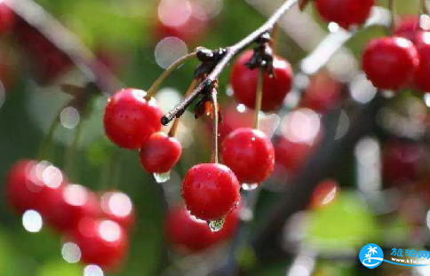 11月舟山旅游必備項(xiàng)目_ 11月舟山旅游景點(diǎn)推薦_ 11月舟山旅游美食推薦