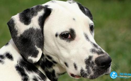 聊城到塞班島旅游指南_行程表_景點(diǎn)推薦