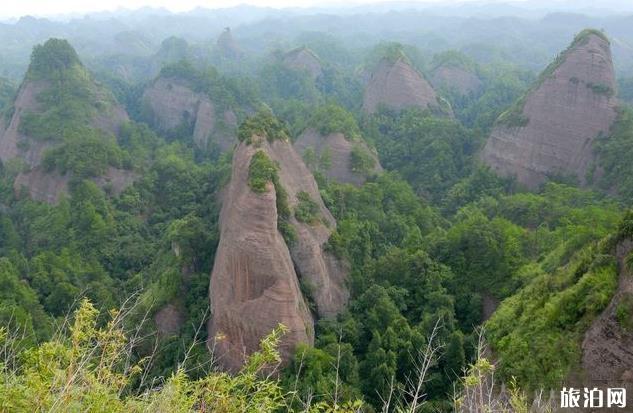 紅色旅游扶貧培訓(xùn)班在山東臨沂舉辦