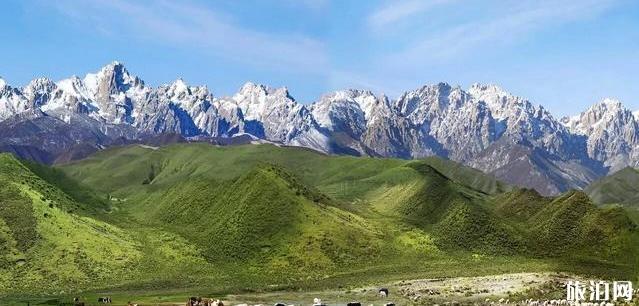 麗水至Xi長安旅游指南_行程_景點(diǎn)推薦