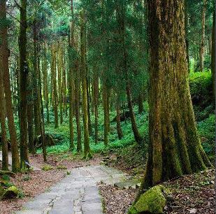 國慶節(jié)從嘉興到竇固溫泉的天氣怎么樣？