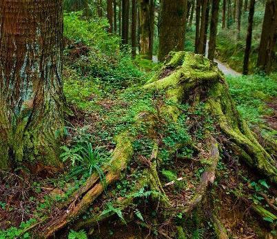 寒假從嘉興出發(fā)游徽杭古道