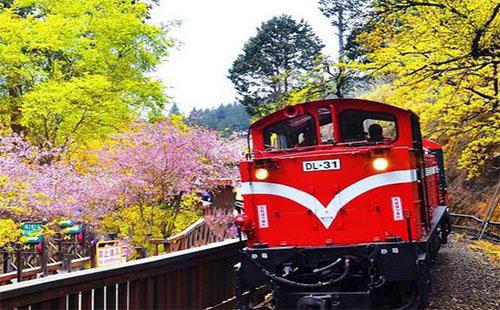 勞動節(jié)從桐鄉(xiāng)到熊貓基地的人多嗎？怎么玩？