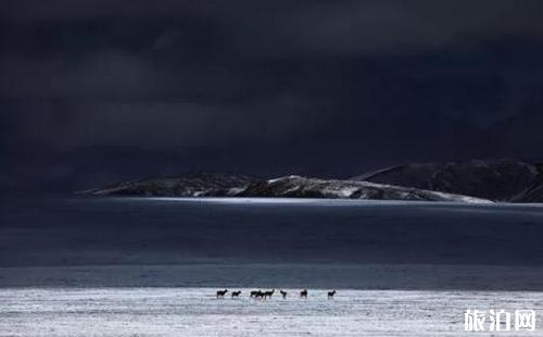 春季去祁連山旅游必備物品？你帶了什么？