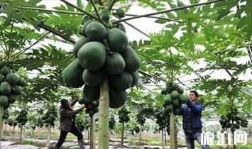 十一長(zhǎng)假桐廬四日游暨國慶桐廬自助游旅游指南