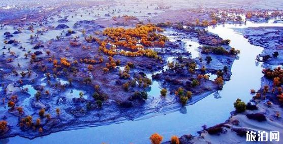 麗水:是世界生態(tài)旅游目的地