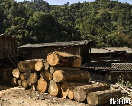 吳中至塞班旅游指南_吳中至塞班旅游安排_(tái)吳中至塞班景點(diǎn)推薦