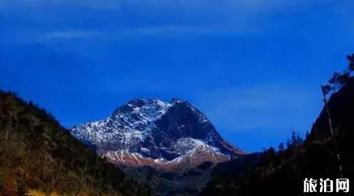 銀川至上海旅游指南_行程表_景點推薦