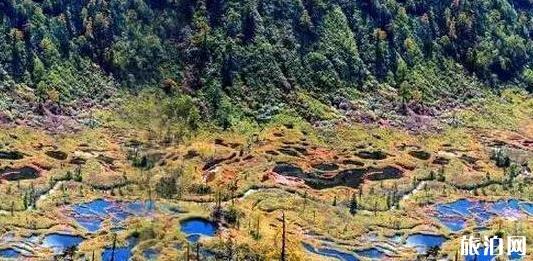 九月去壽縣旅游必備物品？你帶了什么？