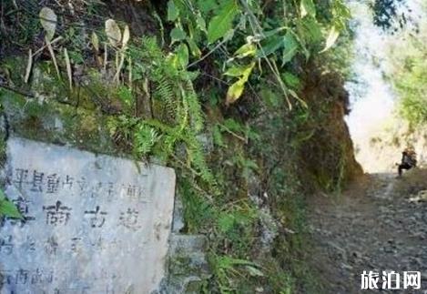 宏村去公路旅行攻略？地址？如何到達(dá)