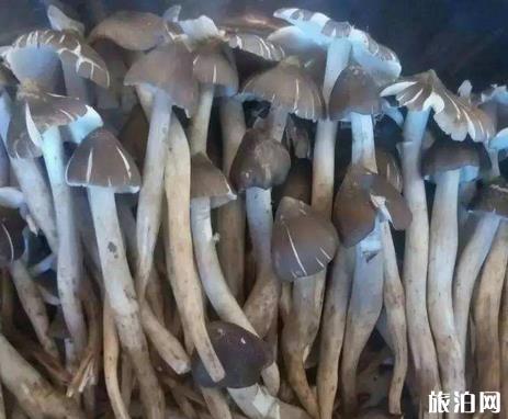 元旦淮南穿衣指南_元旦淮南天氣_元旦淮南景點(diǎn)推薦