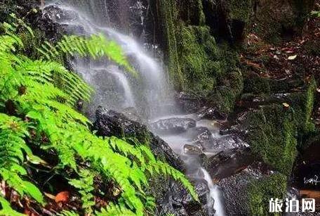 池州至巴厘島旅游交通策略_池州至巴厘島旅游行程表_池州至巴厘島旅游景點(diǎn)推薦