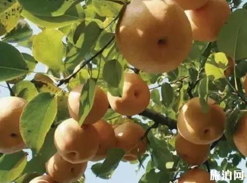 適合旅游的呼倫貝爾酒店_適合開會(huì)的呼倫貝爾地方_適合開會(huì)的呼倫貝爾酒店