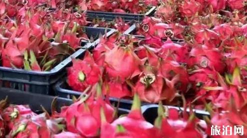 呼倫貝爾到杭州旅游指南_呼倫貝爾到杭州旅游安排_(tái)呼倫貝爾到杭州景點(diǎn)推薦