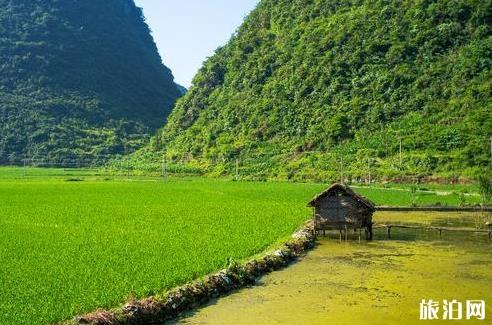 怒江必吃美食_怒江街頭小吃_怒江有什么好吃的？