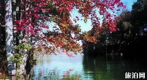 蚌埠市旅游局檢查指導(dǎo)景區(qū)工作進(jìn)一步推進(jìn)4A景區(qū)建設(shè)