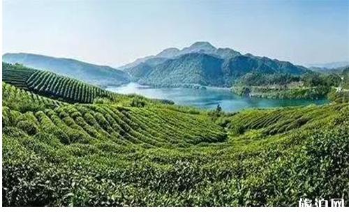 楚雄中秋穿衣指南_楚雄中秋天氣_楚雄中秋推薦