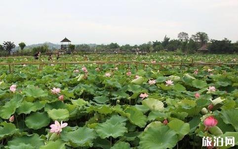 云南:強化旅游外交 推進全球旅游 彰顯云南特色 注重交易實效