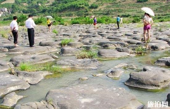 中緬柚品鑒交流節(jié)助力跨境農(nóng)業(yè)旅游合作