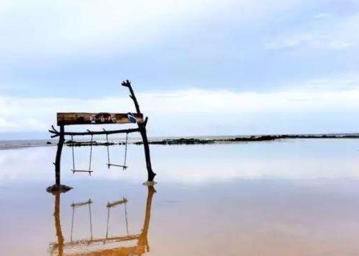 滄州哪里適合拍照_滄州哪里適合拍照_滄州哪里適合拍照