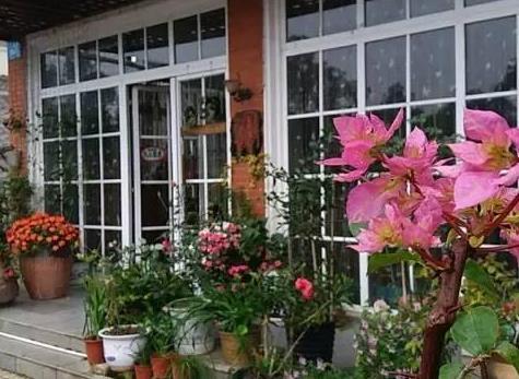 阿里日本行_攻略_行程安排