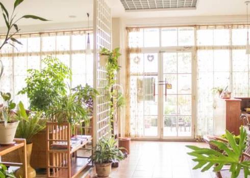 阿里青島行_攻略_行程安排