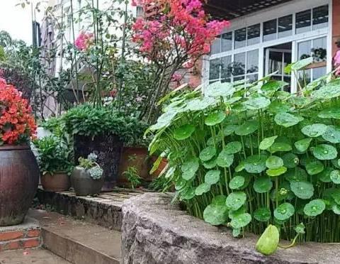 阿里柬埔寨之旅_攻略_行程安排