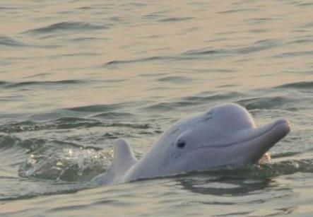【2016塔城裕民山花節(jié)】_2016塔城裕民山花節(jié)時間|地點|門票