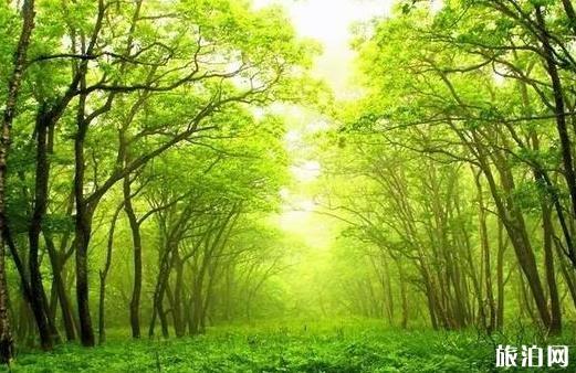 十一國慶期間海口五日游 國慶期間海口自助游