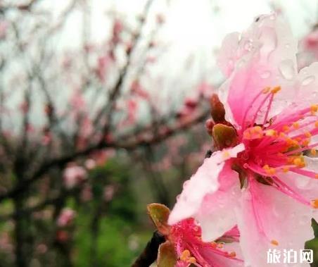 適合旅游的克拉瑪依酒店_適合開會的克拉瑪依地方_適合開會的克拉瑪依酒店