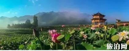 黔西南至云南旅游指南_行程表_景點(diǎn)推薦