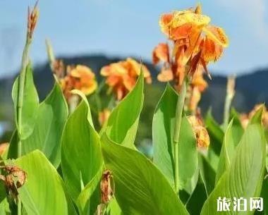 黔西南至越南旅游指南_行程表_景點(diǎn)推薦