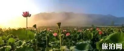 黔西南至西雙版納旅游攻略_行程_景點(diǎn)推薦